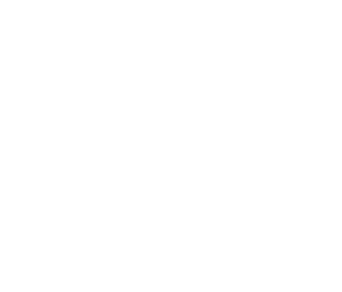 Sheikhani Group